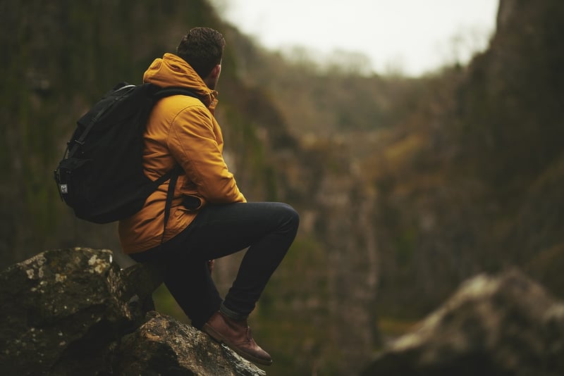 Brave Explorer